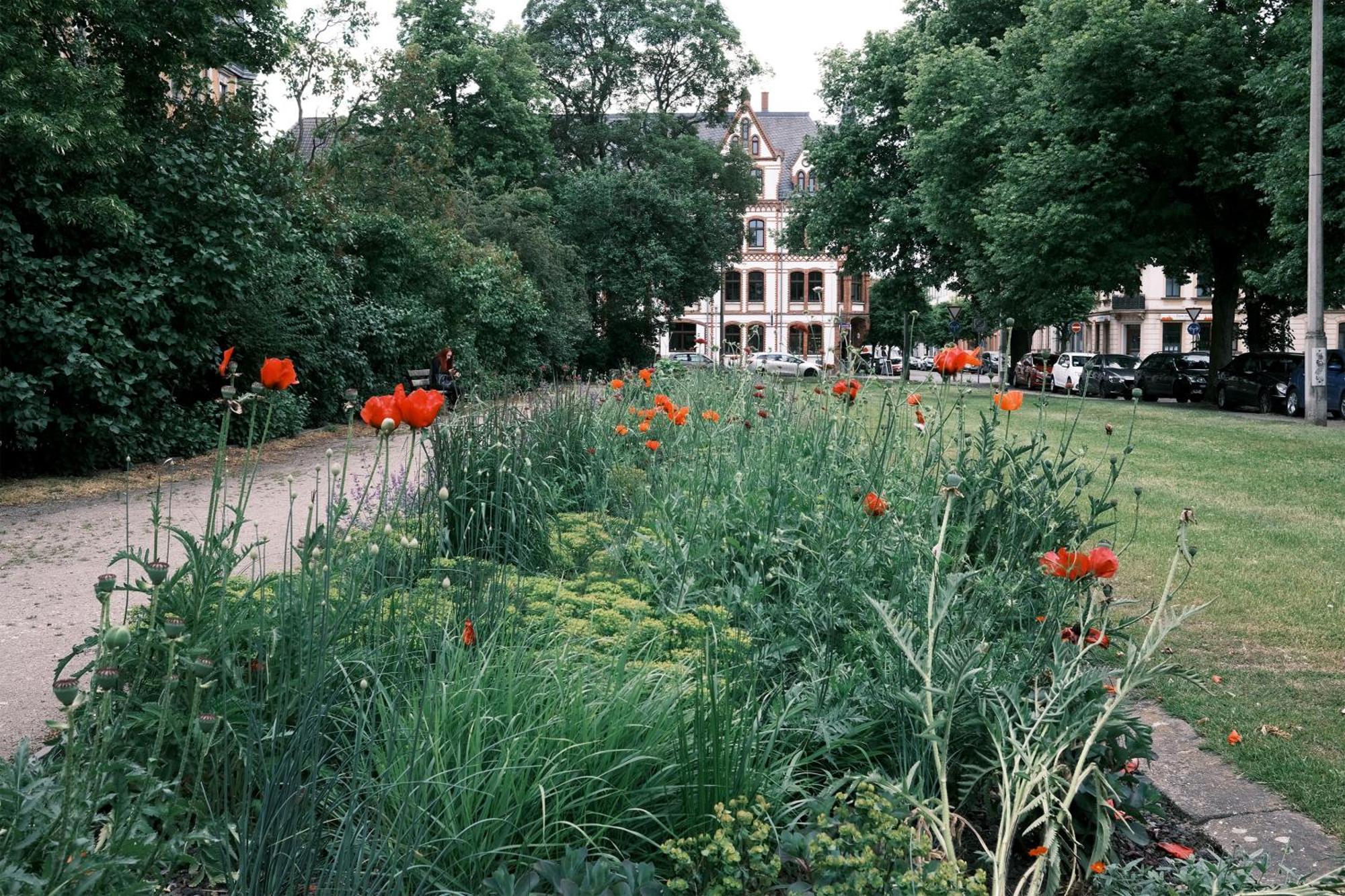 Schickes Apartment In Zwickau Direkt Am Roemerplatz Eksteriør bilde